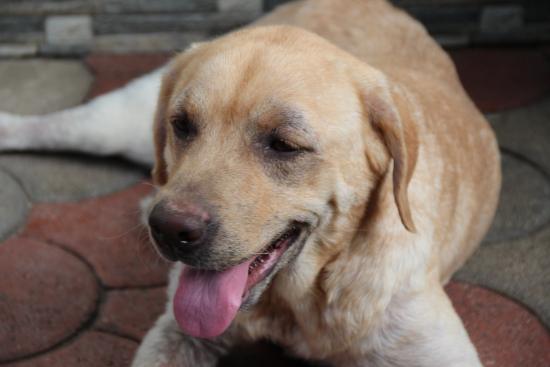Wilma