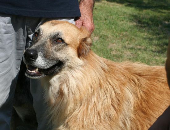 Coda