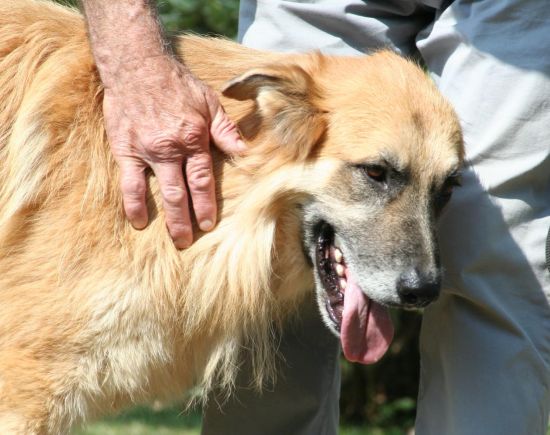 Coda