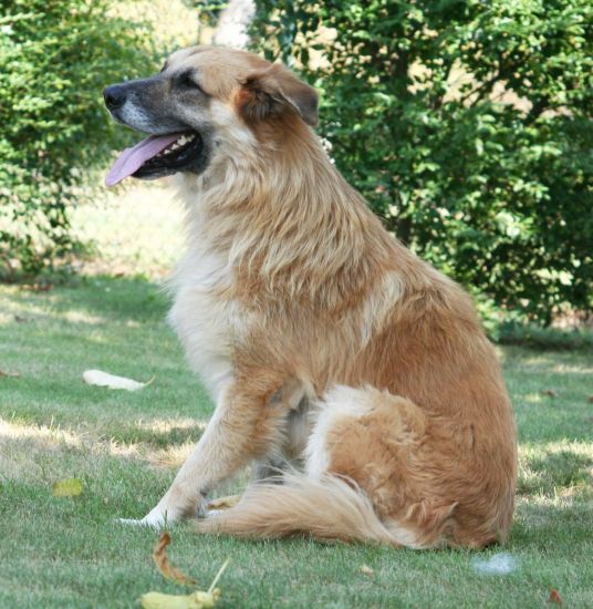 Coda