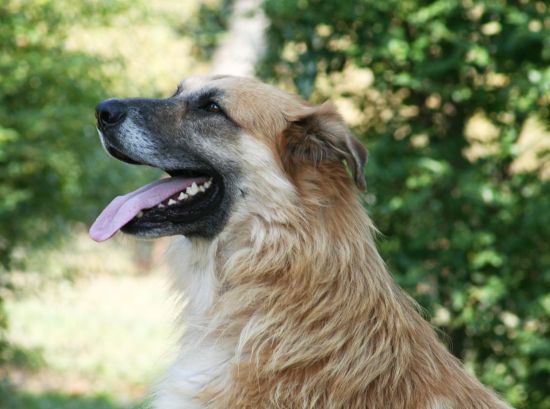 Coda