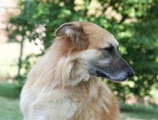 Coda