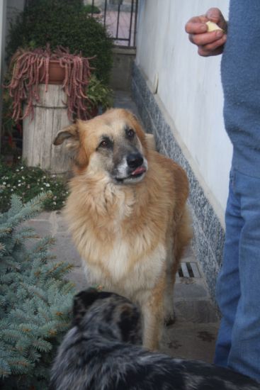 Coda