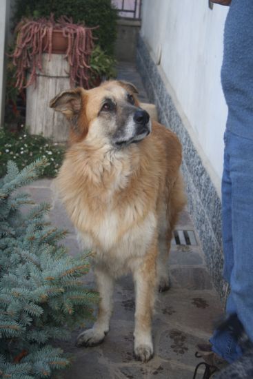 Coda