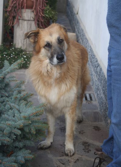 Coda