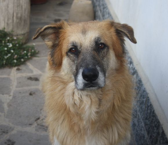 Coda