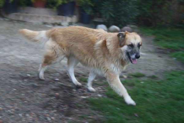 Coda