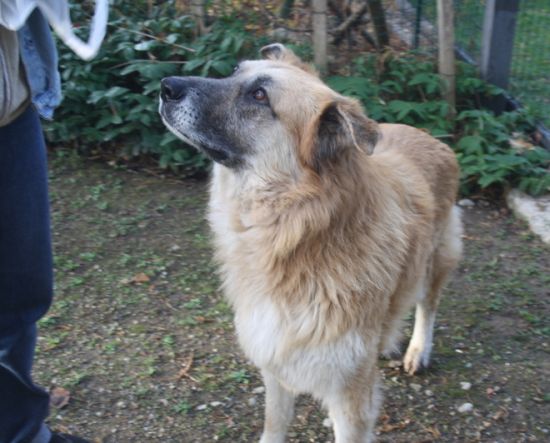 Coda