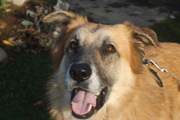 Coda