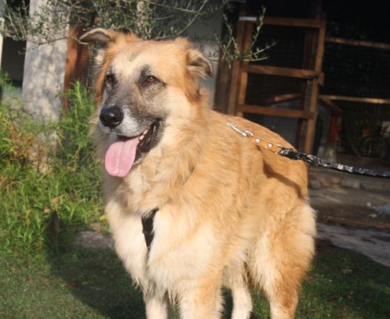 Coda