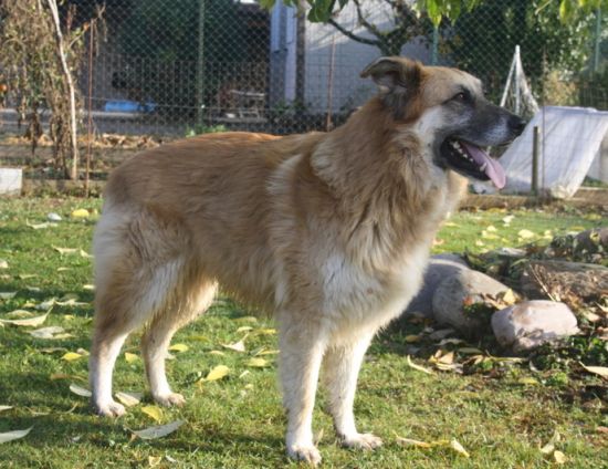 Coda