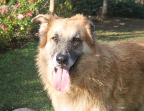 Coda