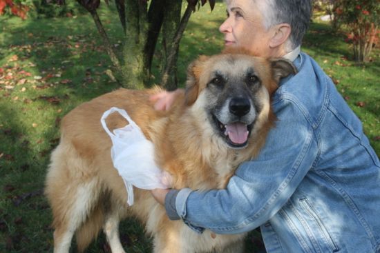 Coda