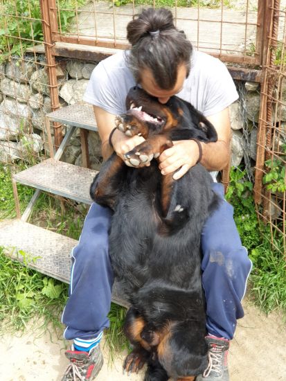 Romeo