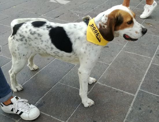 Sebastiano