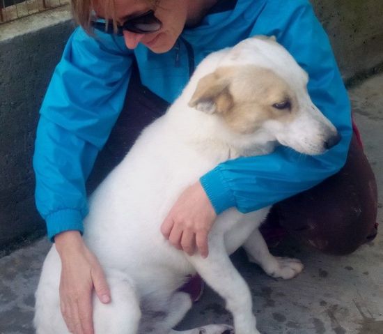 Snoopy