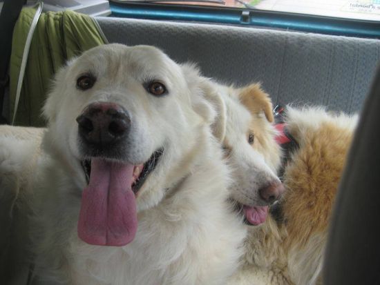 Ulla und Tommy