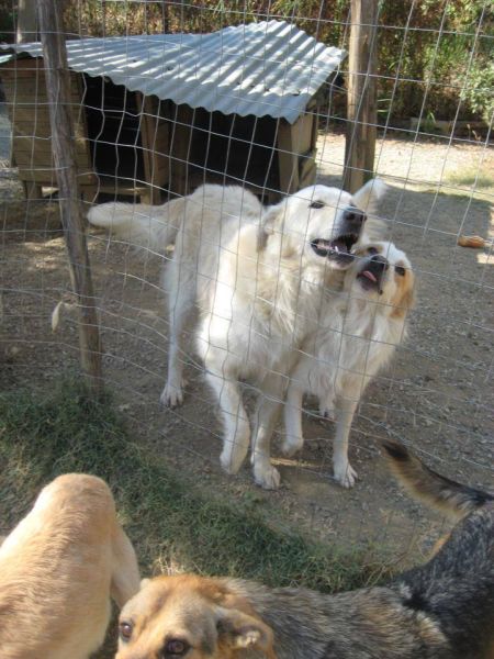 Ulla und Tommy