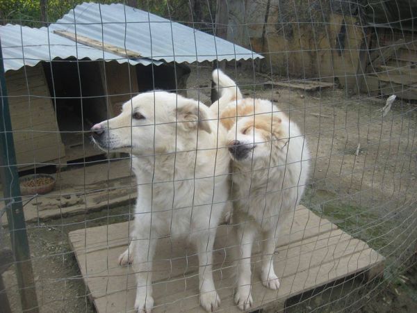 Ulla und Tommy