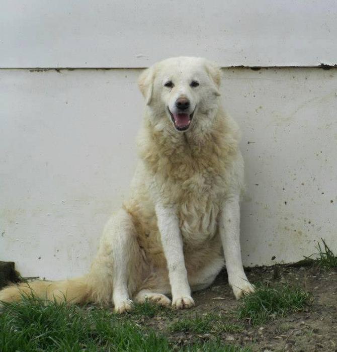 Gilda