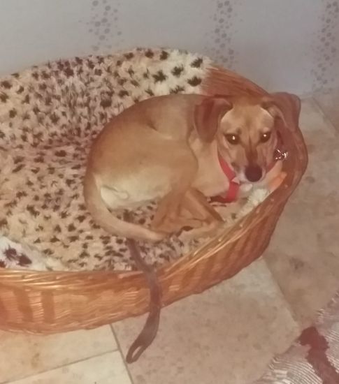 Lilly