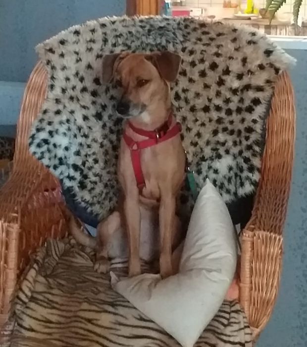 Lilly