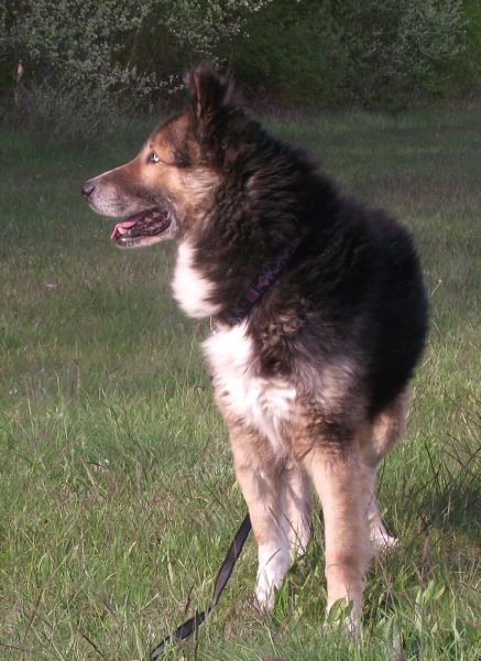 Zuzu