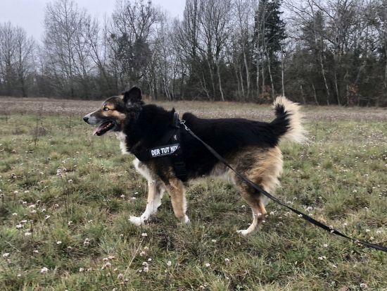 Zuzu