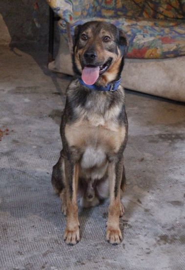 Paquito