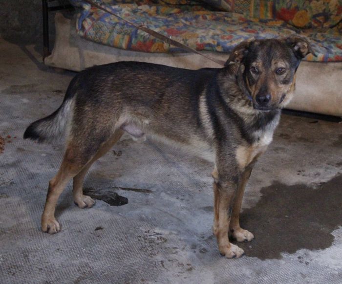 Paquito