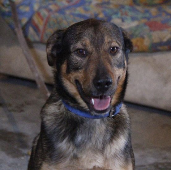Paquito