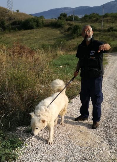 Alfi