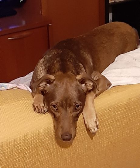 Kuki
