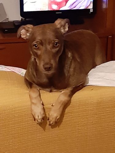 Kuki